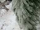 Фотография Березняковой Веры