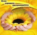 Світлана Вороняк фотография #12 (источник - https://vk.com/id163659671)