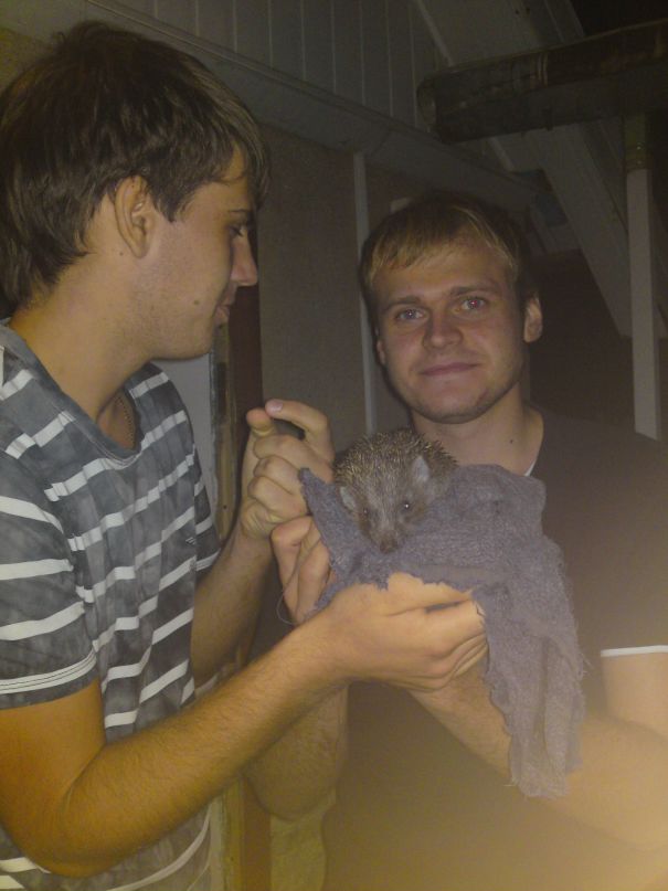 Егор Бованенко фотография #3