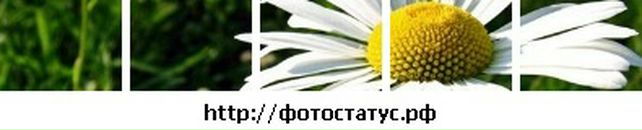 Аліна Пилипів фотография #39 (источник - https://vk.com/id38378846)