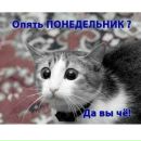 Віталіна Кальченко фотография #7 (источник - https://vk.com/id144253033)