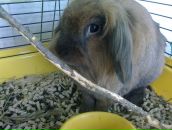 Фотография Тихоновой Ирины