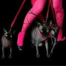 Фотография Великоросской Богемы