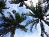 Фотография Селютиной Кати