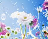 Фотография Опешко Виктор