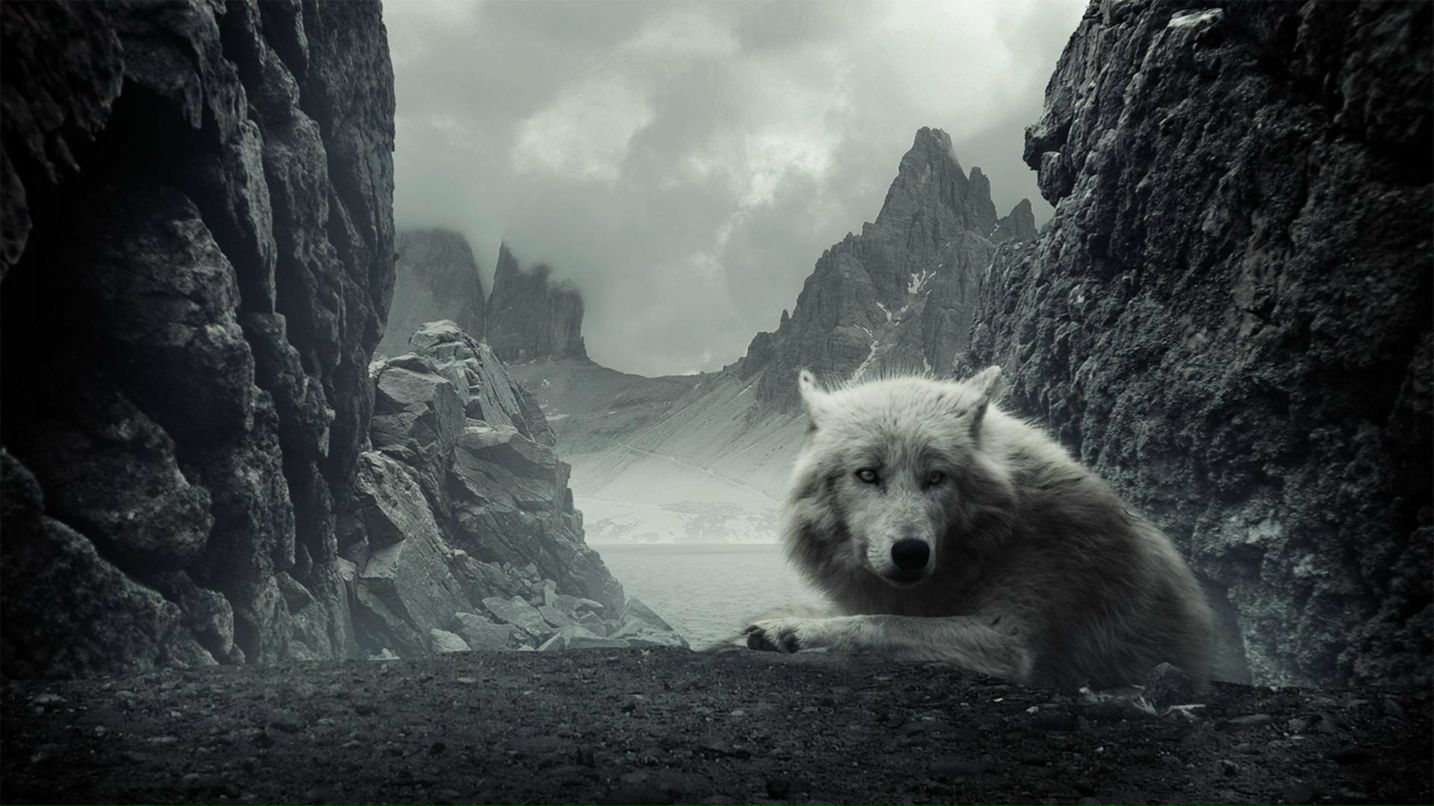 Антон Чубченко фотография #46