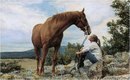 Фотография Болучевской Елены