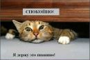 Фотография Вдовина Дмитрия