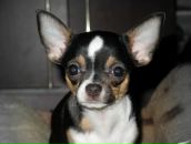 Фотография Кругловой Марины