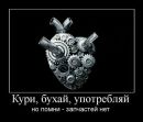 Андрій Зіневич фотография #13 (источник - https://vk.com/id59170938)