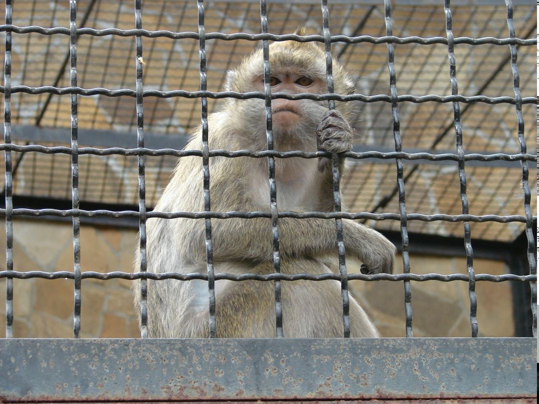 Константин Черников фотография #19