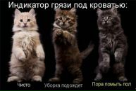 Свєтунька Яковець фотография #11 (источник - https://vk.com/id100793081)