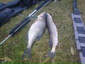 Евгений Иевлев фотография #28 (источник - https://vk.com/id2978352)