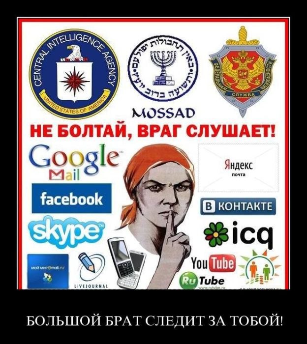 Samfx Nic фотография #47