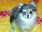 Фотография А Михаила