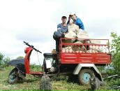 Фотография Шкова Артема