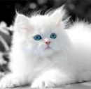 Дашусік Возняк фотография #3 (источник - https://vk.com/id159834998)