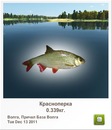 Андрій Кава фотография #13 (источник - https://vk.com/id136449618)