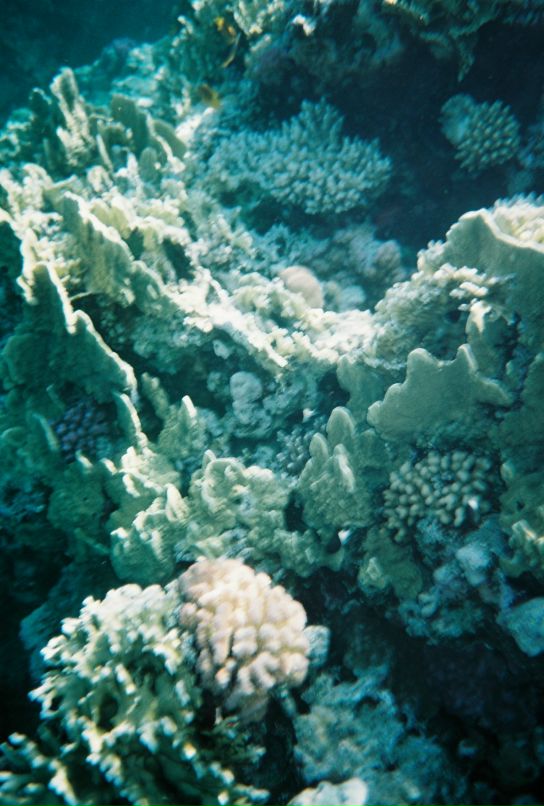 Александр Кадыкеев фотография #46