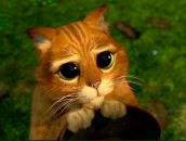 Оля Ільницька фотография #47 (источник - https://vk.com/id65129607)