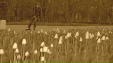 Фотография Котовой Таши