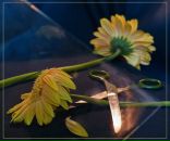 Алєг Мiщук фотография #22 (источник - https://vk.com/id38597295)