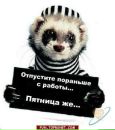 Андрій Павліченко фотография #15 (источник - https://vk.com/id89915946)