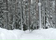 Andrei Ilyushenko фотография #18 (источник - https://vk.com/id510574)