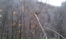 Дмитрий Плотников фотография #16 (источник - https://vk.com/id378898)