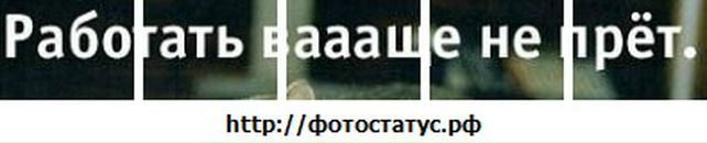 Андрій Бевз фотография #10 (источник - https://vk.com/id29059681)