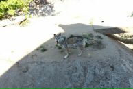 Таня Ліщук фотография #24 (источник - https://vk.com/id22416115)