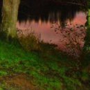 Карына Шевченко фотография #36 (источник - https://vk.com/id123790879)