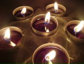 Фотография Алевской Илоны