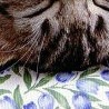 Анастасія Саввина фотография #9 (источник - https://vk.com/id152222347)