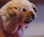 Фотография Федосеевой Анны