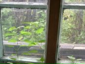 Фотография Рожина Сергея