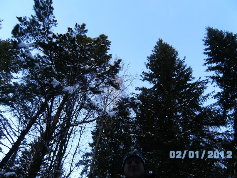 Дмитрий Токмаков фотография #38