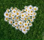 Фотография Шиховой Алины