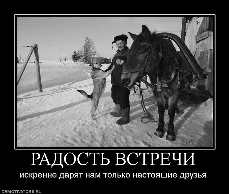 Антон Андреенко фотография #37