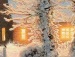 Діма Яремов фотография #14 (источник - https://vk.com/id120701378)