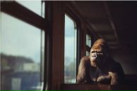 Roma Vodka фотография #32 (источник - https://vk.com/id2944570)