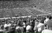 Анна Елыкова фотография #17 (источник - https://vk.com/id211067)