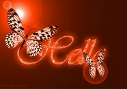 Влад Білошицький фотография #45 (источник - https://vk.com/id95330925)