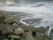 Ольга Данилина фотография #11 (источник - https://vk.com/id654126)