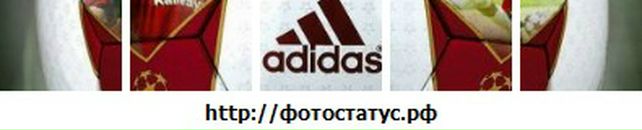 Міша Пастухов фотография #31 (источник - https://vk.com/id133085277)