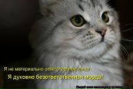 Фотография Медведкиной Натальи