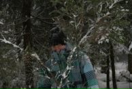 Фотография Караваева Максимилиана