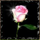 Αртур Κудрявцев фотография #5 (источник - https://vk.com/id122439059)