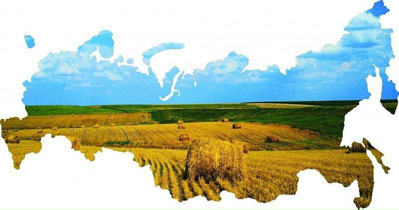 Artyom Vorchun фото №6