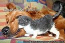 Наташа Шуклін фотография #2 (источник - https://vk.com/id161935422)